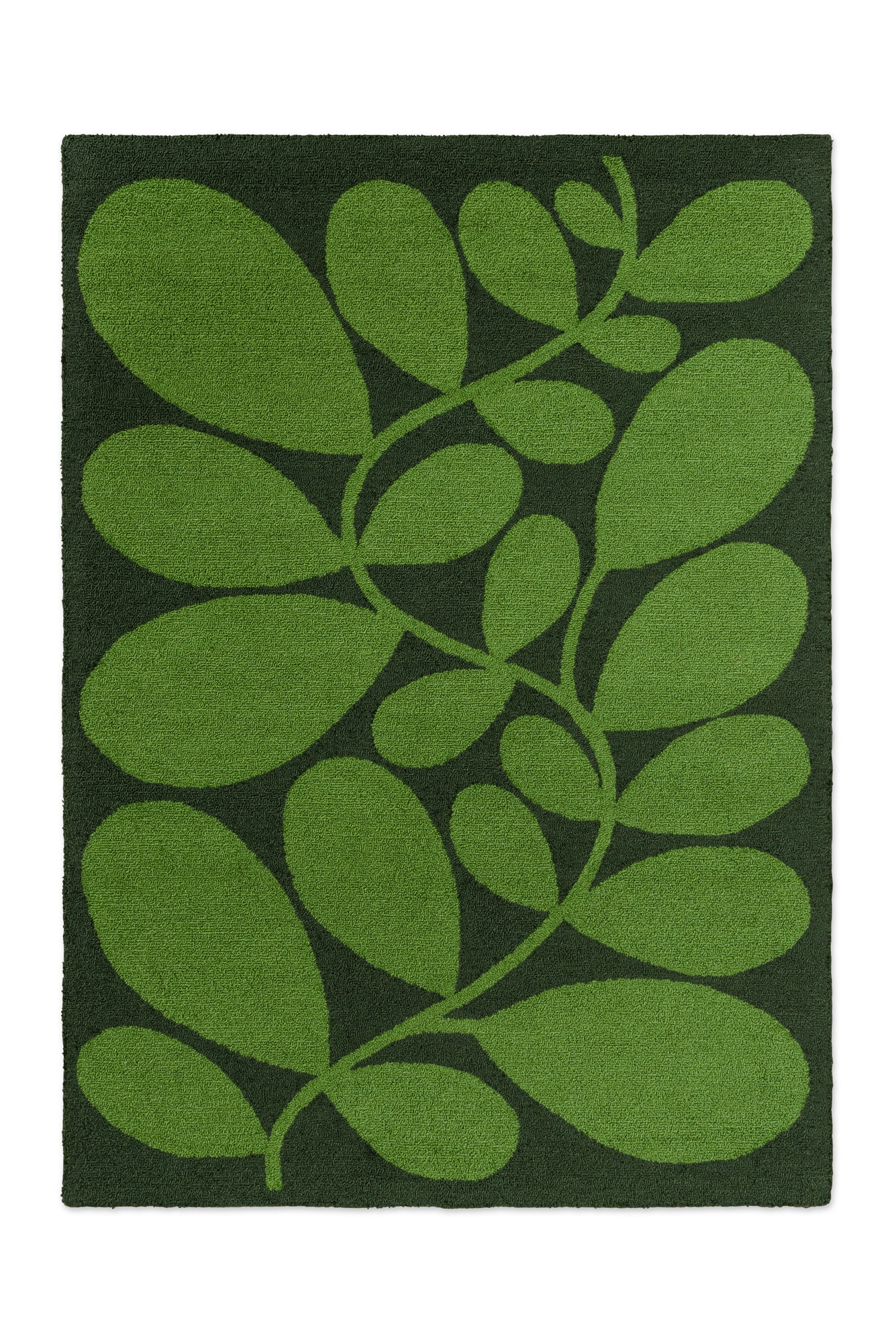 Miniatuur 2