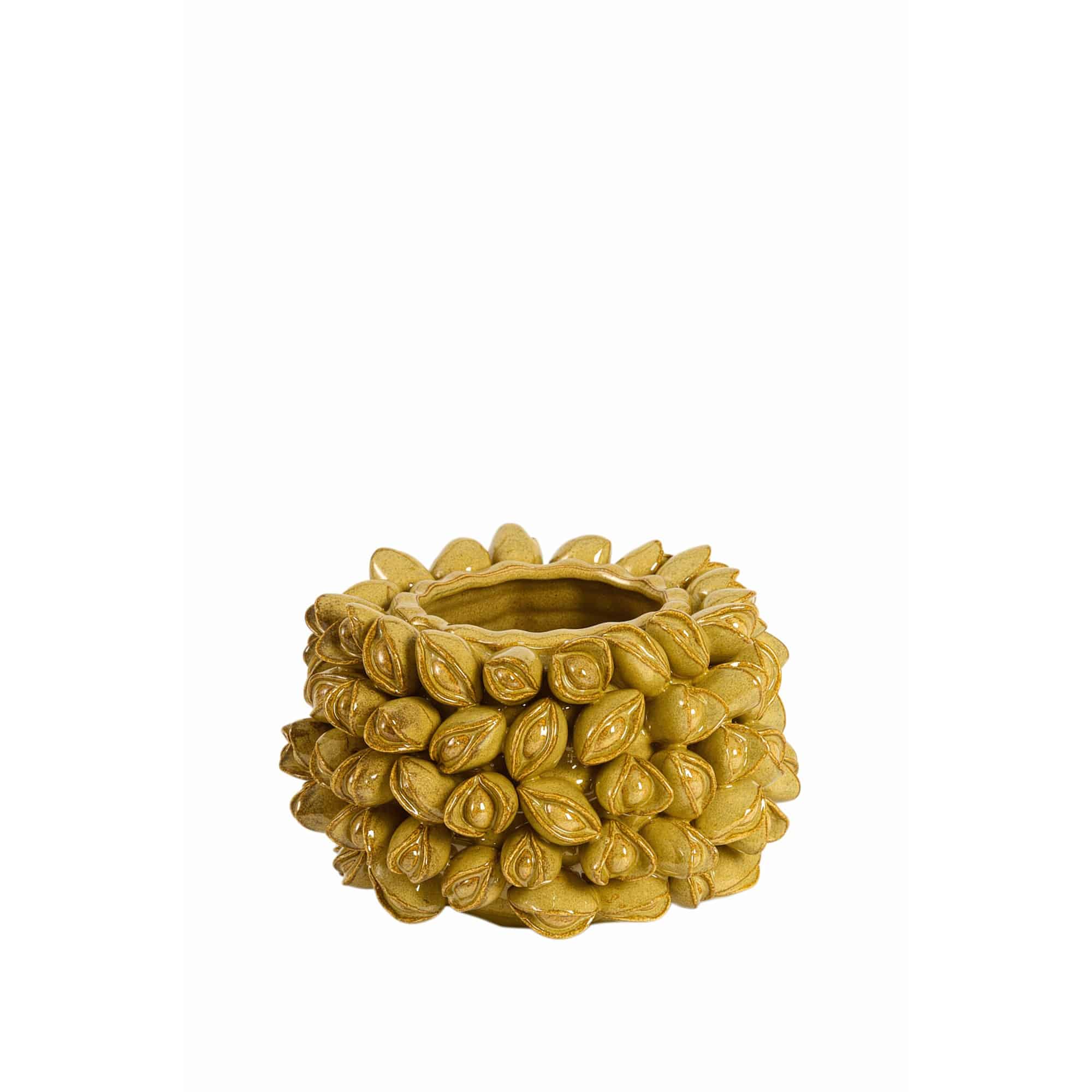 Miniatuur 1